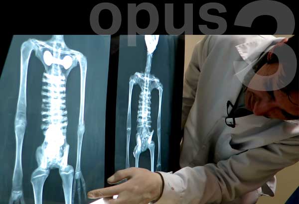 Alien Project - Opus 3 – Une humanité exogène ? Alien Project - Opus 3 – Une humanité exogène ?